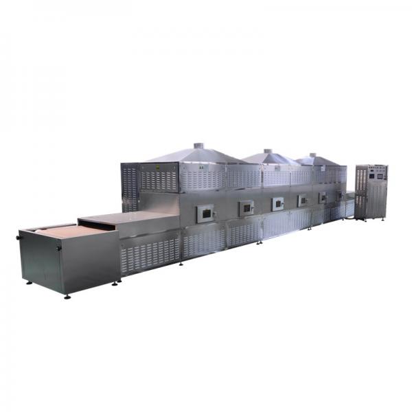Industrial Continuous Industry Microwave Drying Oven Equipment