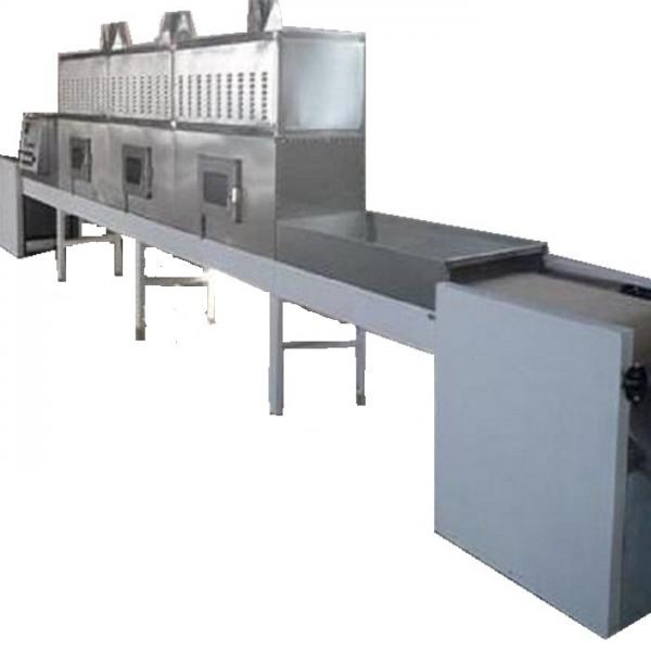 Tunnel Conveyor Belt Type Microwave Heating Equipment For Fast Food