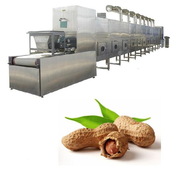 Newest type industrial microwave tunnel sterilization dryer drying machine equipment