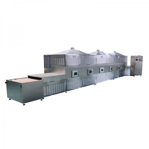 Industrial Belt Food Dehydrator Machine, meat microwave drying machine