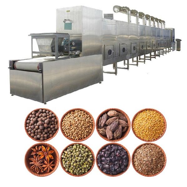 Microwave vacuum dryer belt drying machine for plant extract stainless frame