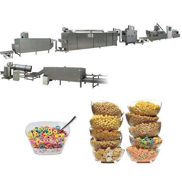 High nutritional Corn Flakes Processing Line with PLC Control System
