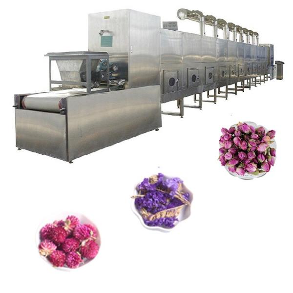 Industrial Belt Type Microwave Drying And Sterilization Machine For Oatmeal