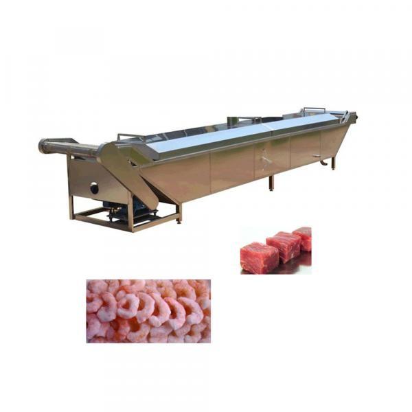 Microwave Frozen Food Thawing Equipment