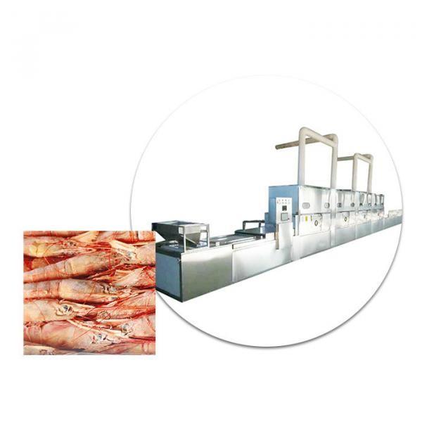 Microwave Thawing Defrosting Machine for Frozen Meat, Beef, Seafood