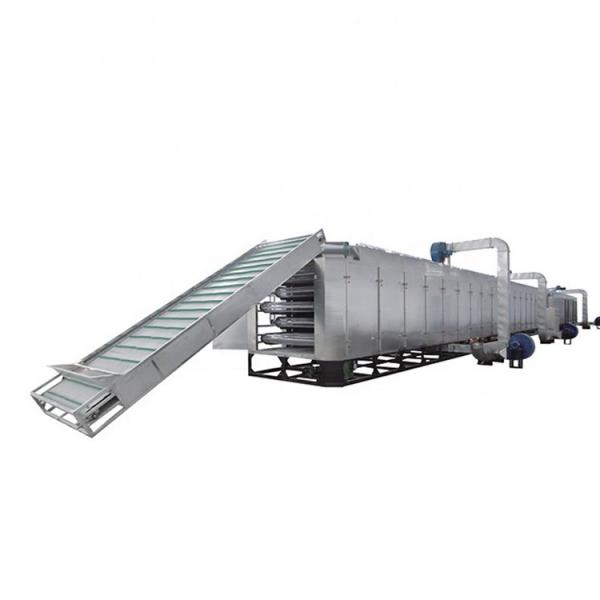 Automatic Continuous Microwave Drying Machine , Industrial Food Dryer